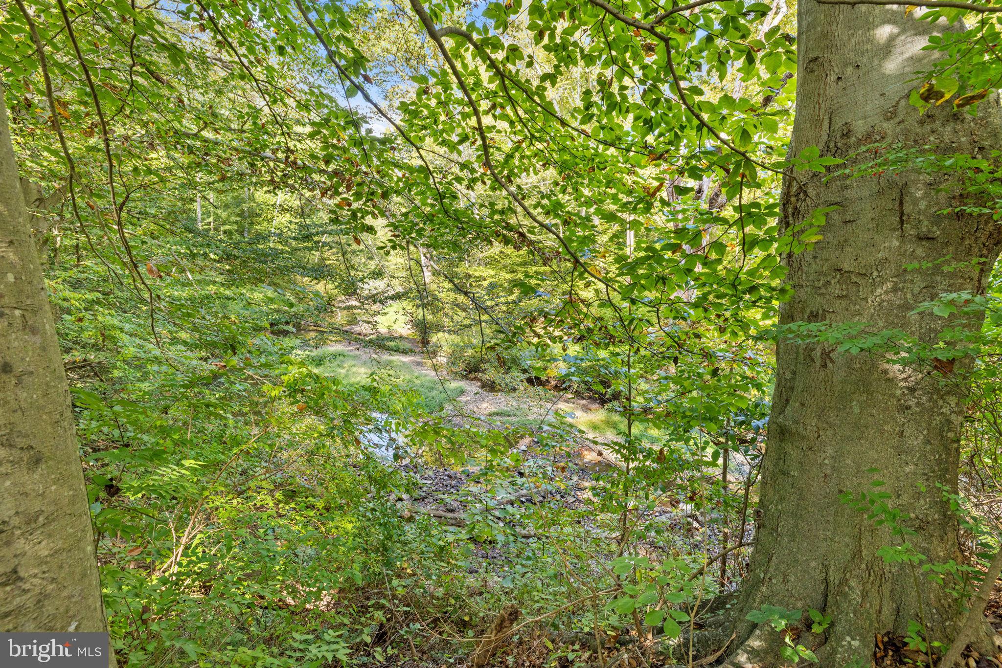 CARDINAL SQUARE - Residential