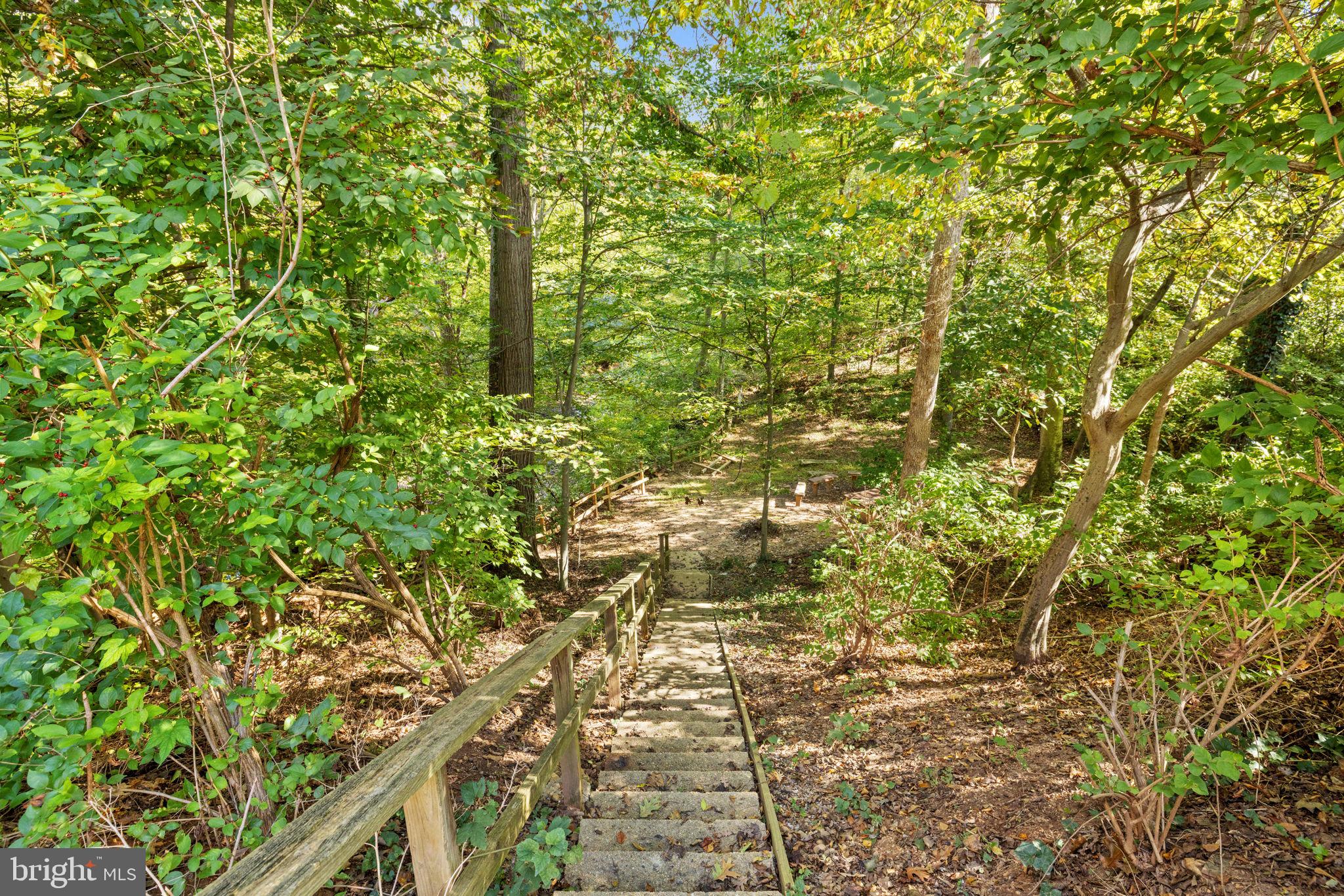 CARDINAL SQUARE - Residential