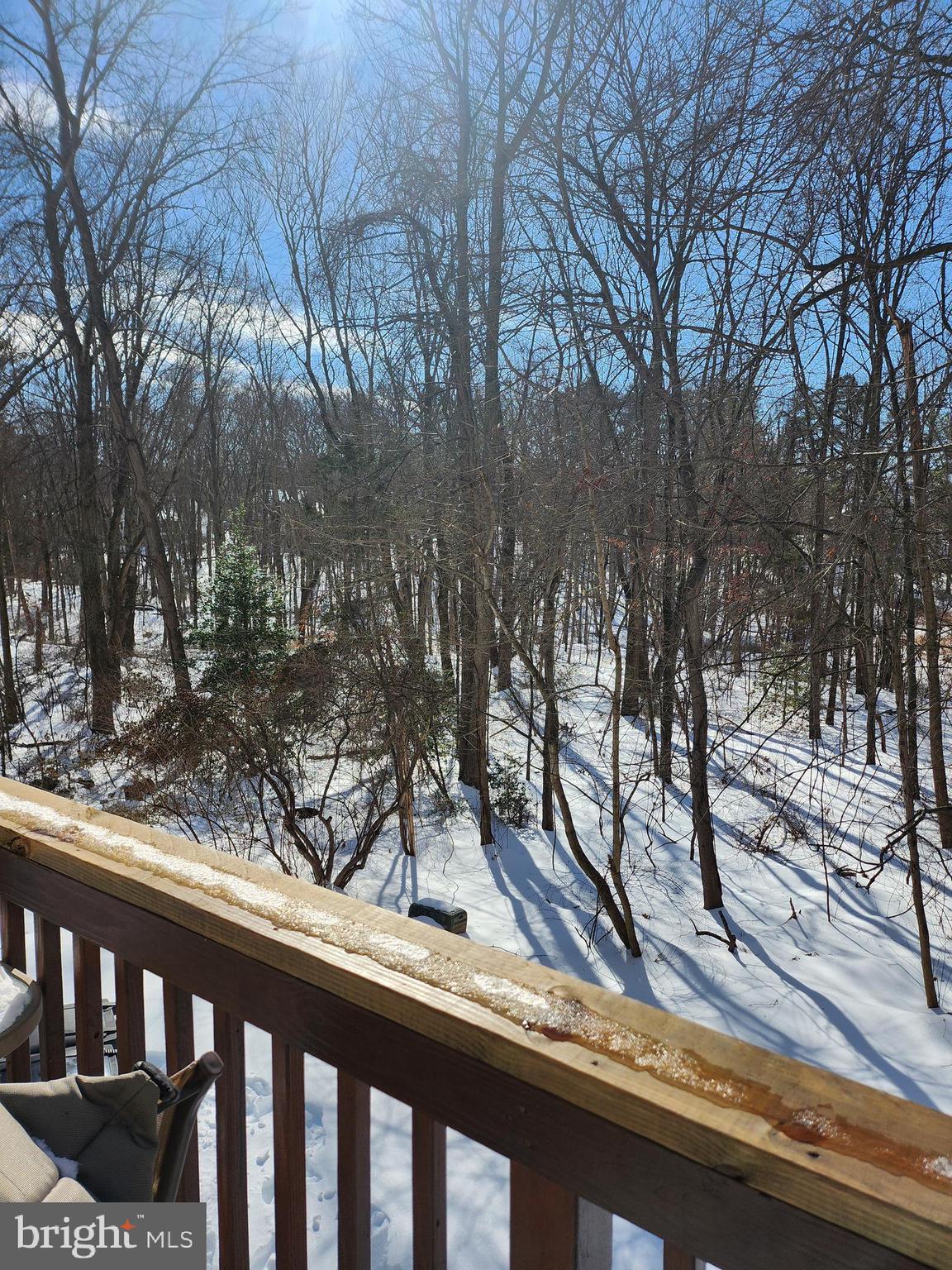 1563 TWISTED OAK DRIVE