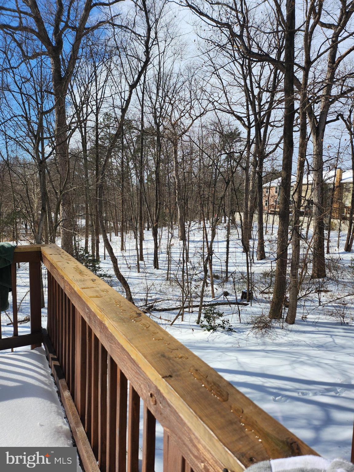 1563 TWISTED OAK DRIVE