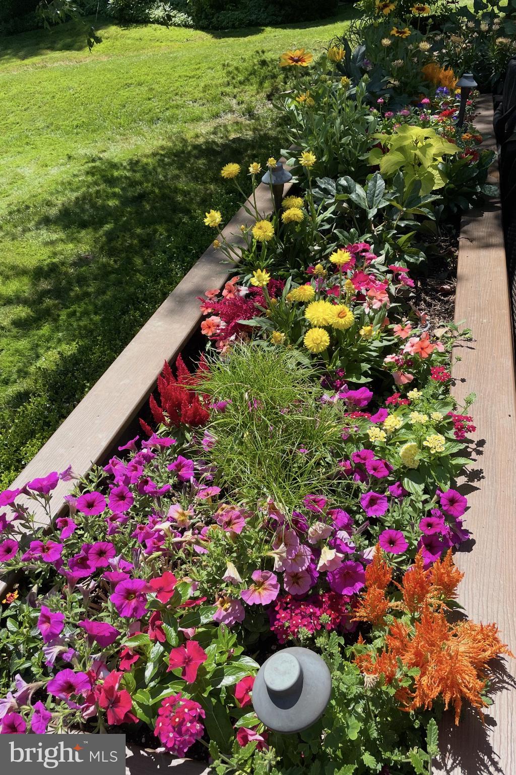 AVONWOOD - Residential