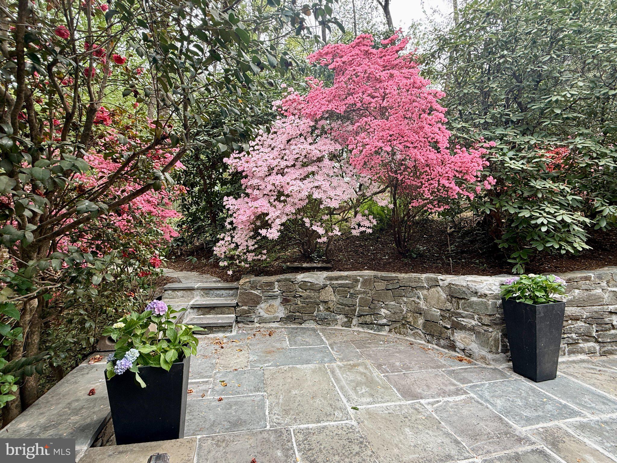 CARDEROCK SPRINGS - Residential