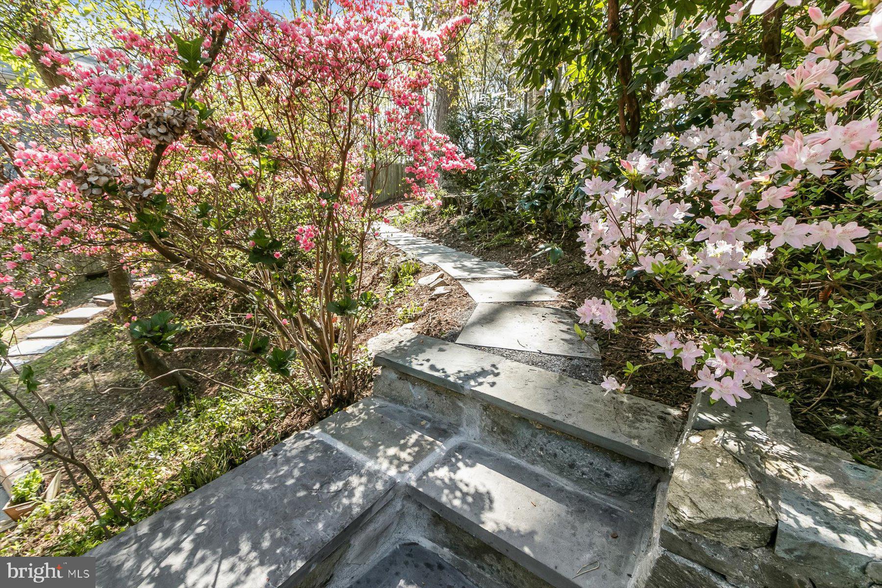 CARDEROCK SPRINGS - Residential