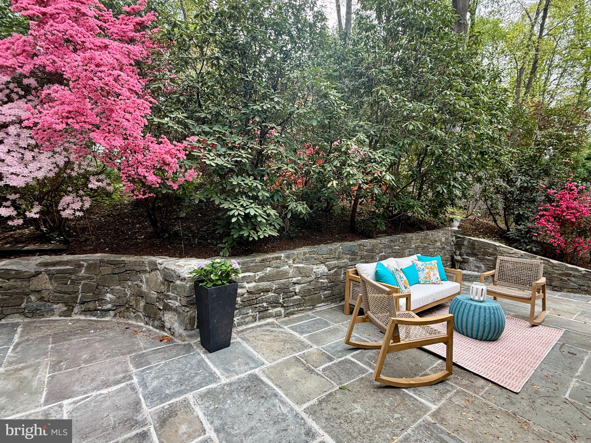 CARDEROCK SPRINGS - Residential