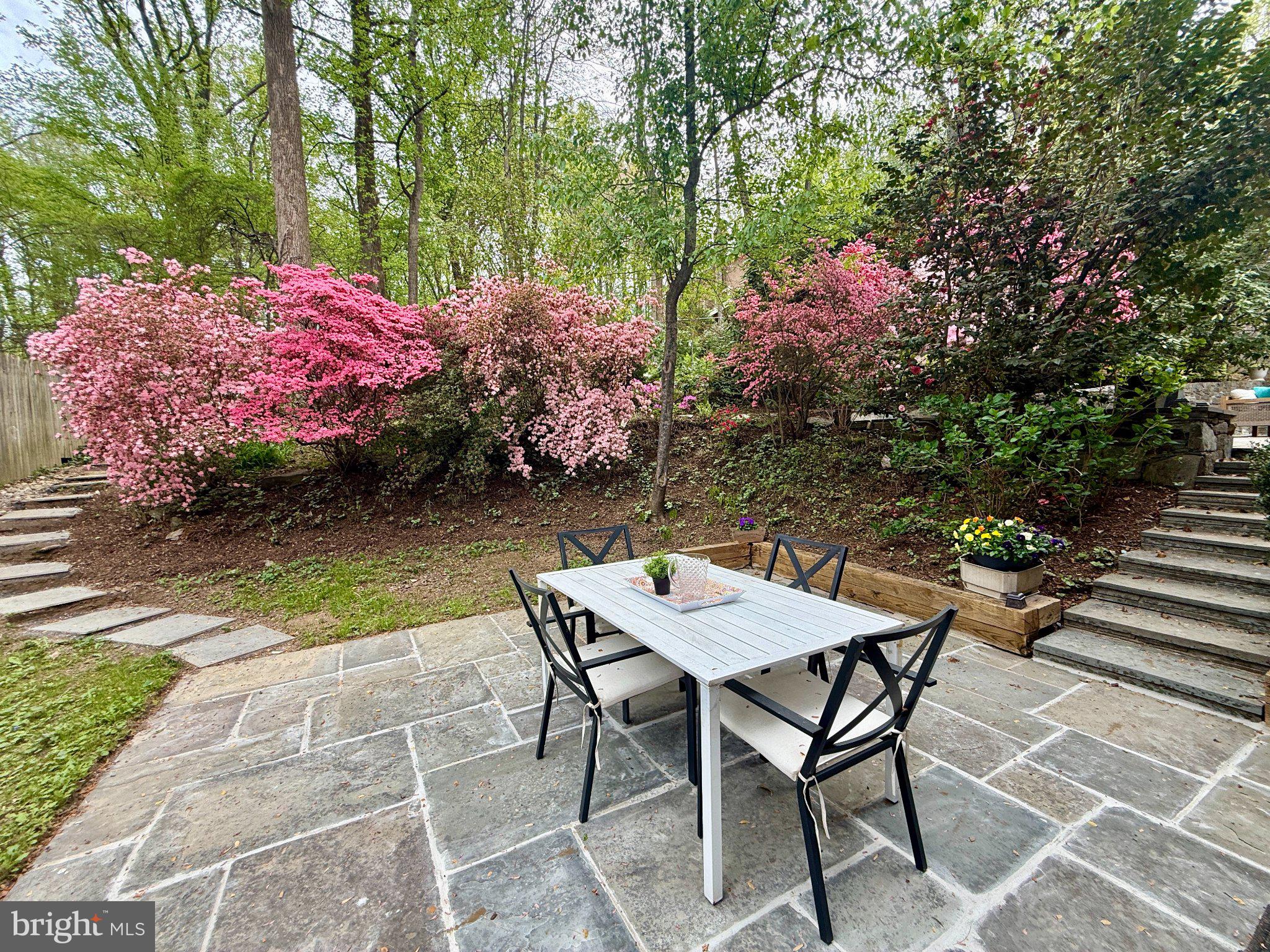 CARDEROCK SPRINGS - Residential