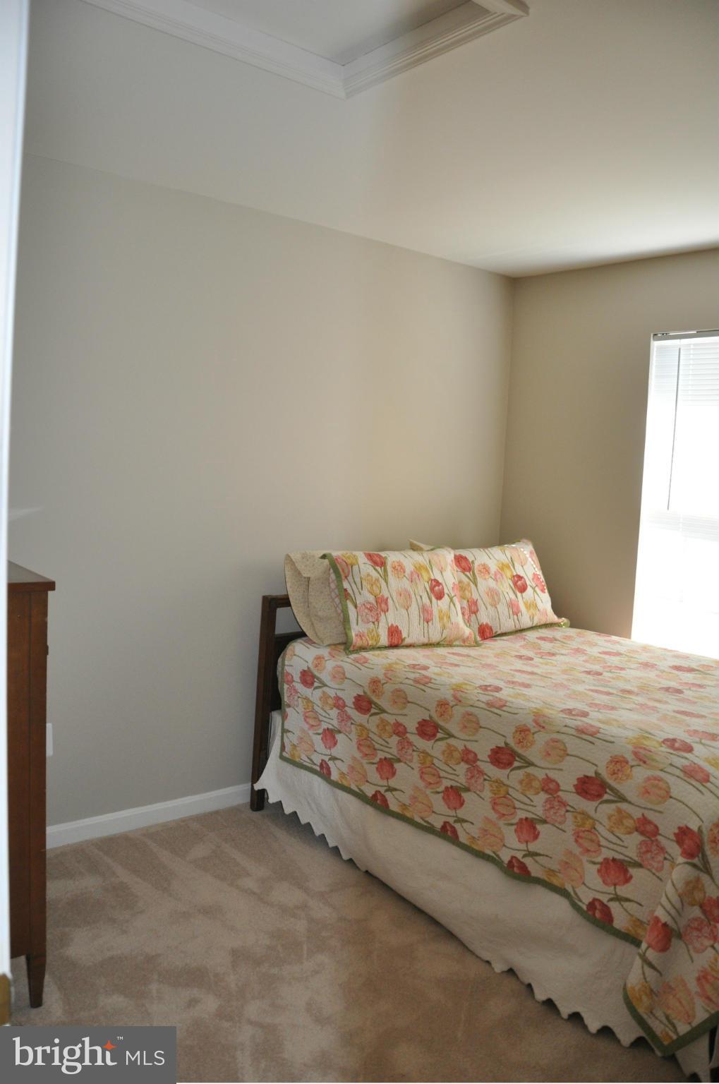 UNIVERISTY CENTER - Residential