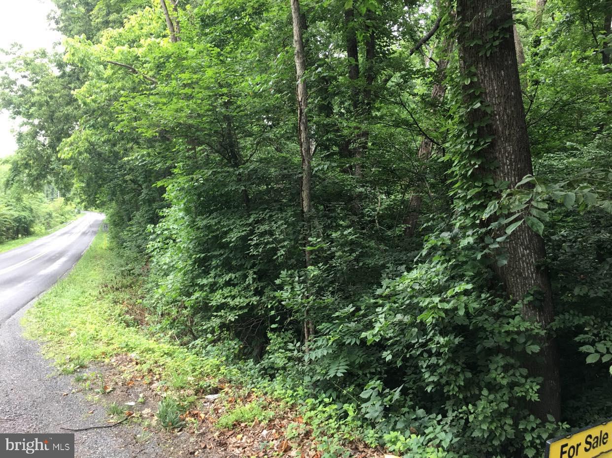 SHEN FARMS RIVERVIEW - Land