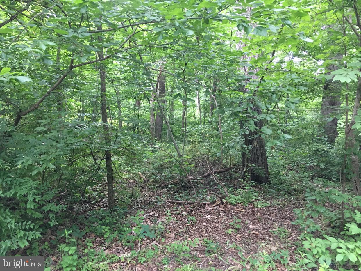 SHEN FARMS RIVERVIEW - Land