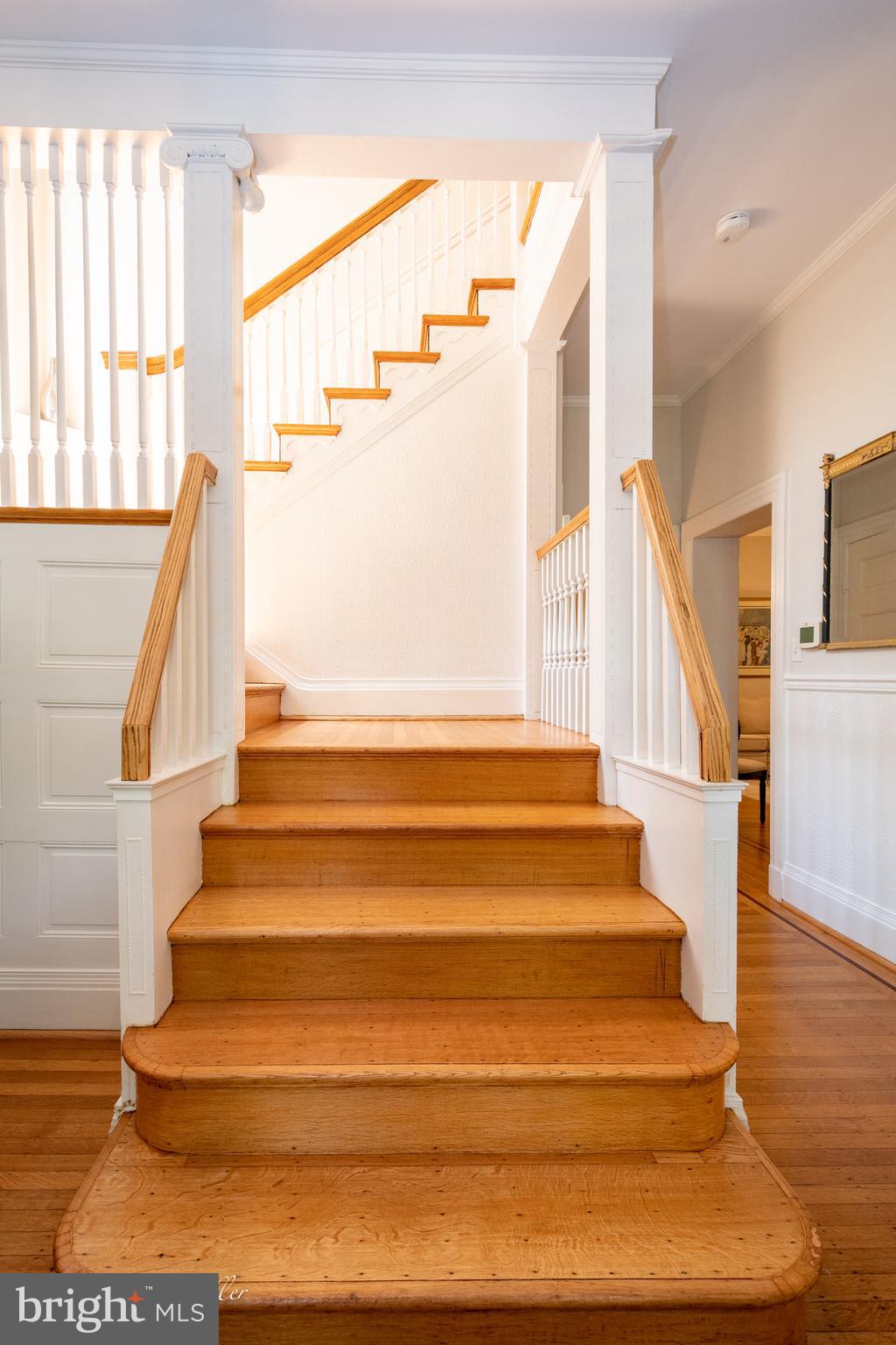 ROLAND PARK - Residential