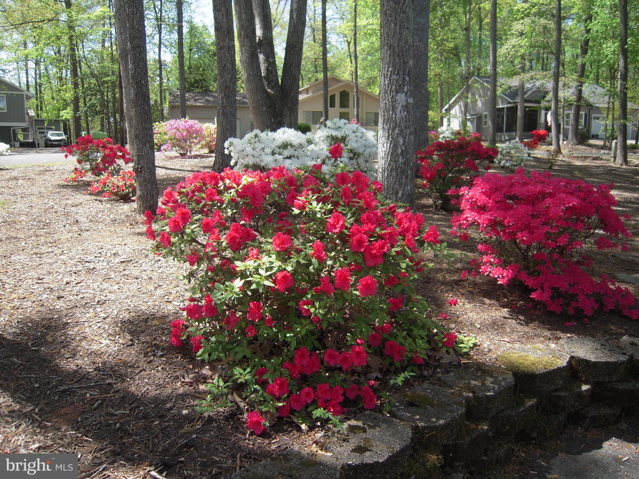 LAKE OF THE WOODS - Residential