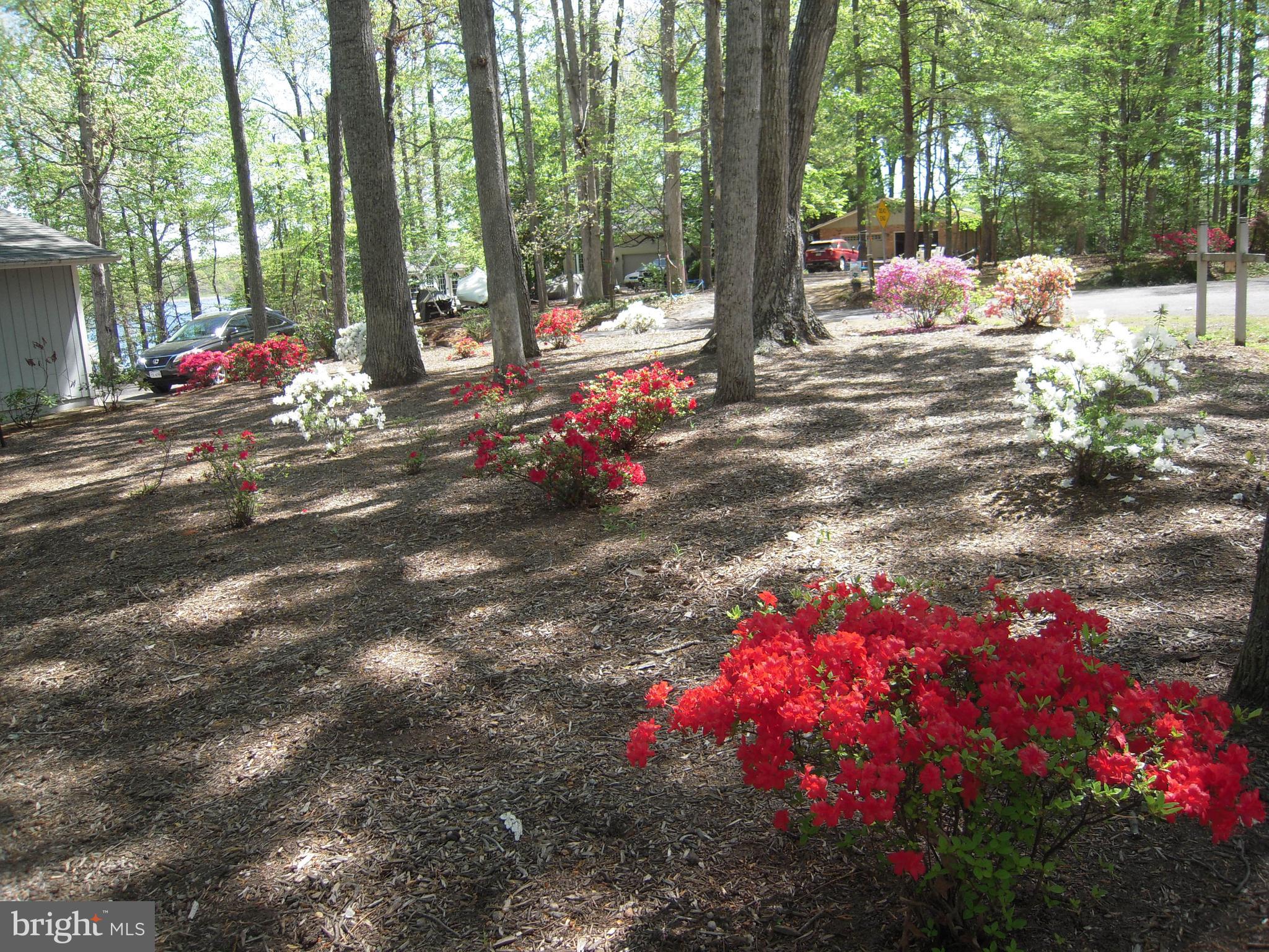 LAKE OF THE WOODS - Residential