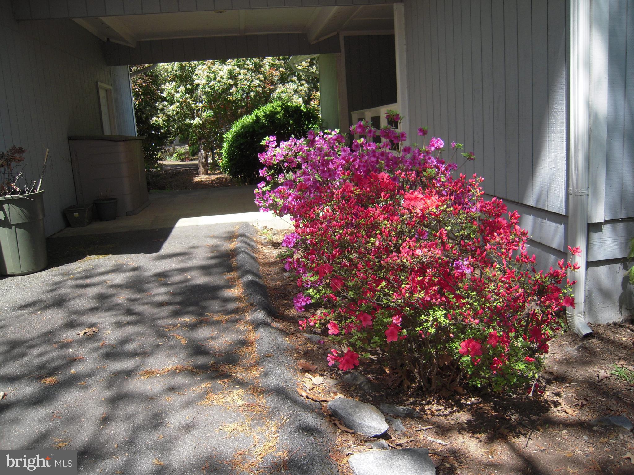 LAKE OF THE WOODS - Residential