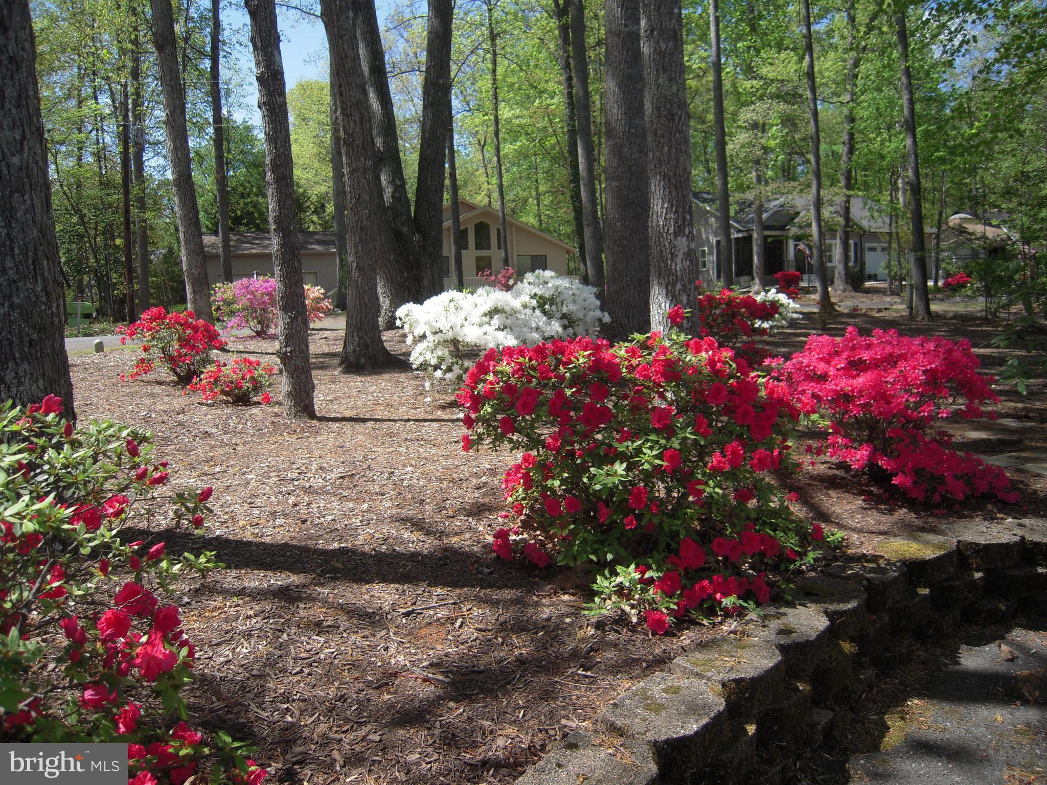 LAKE OF THE WOODS - Residential
