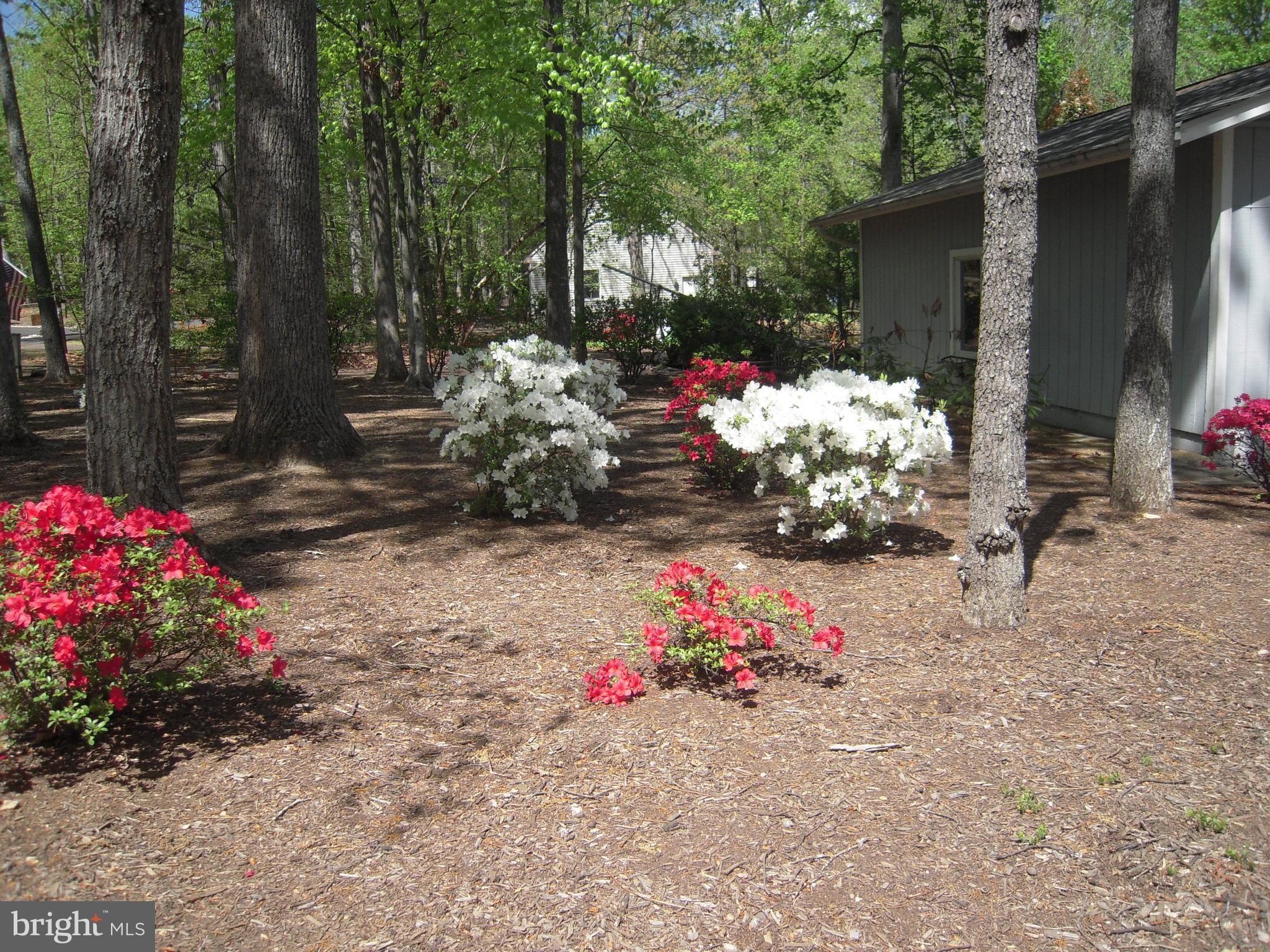 LAKE OF THE WOODS - Residential