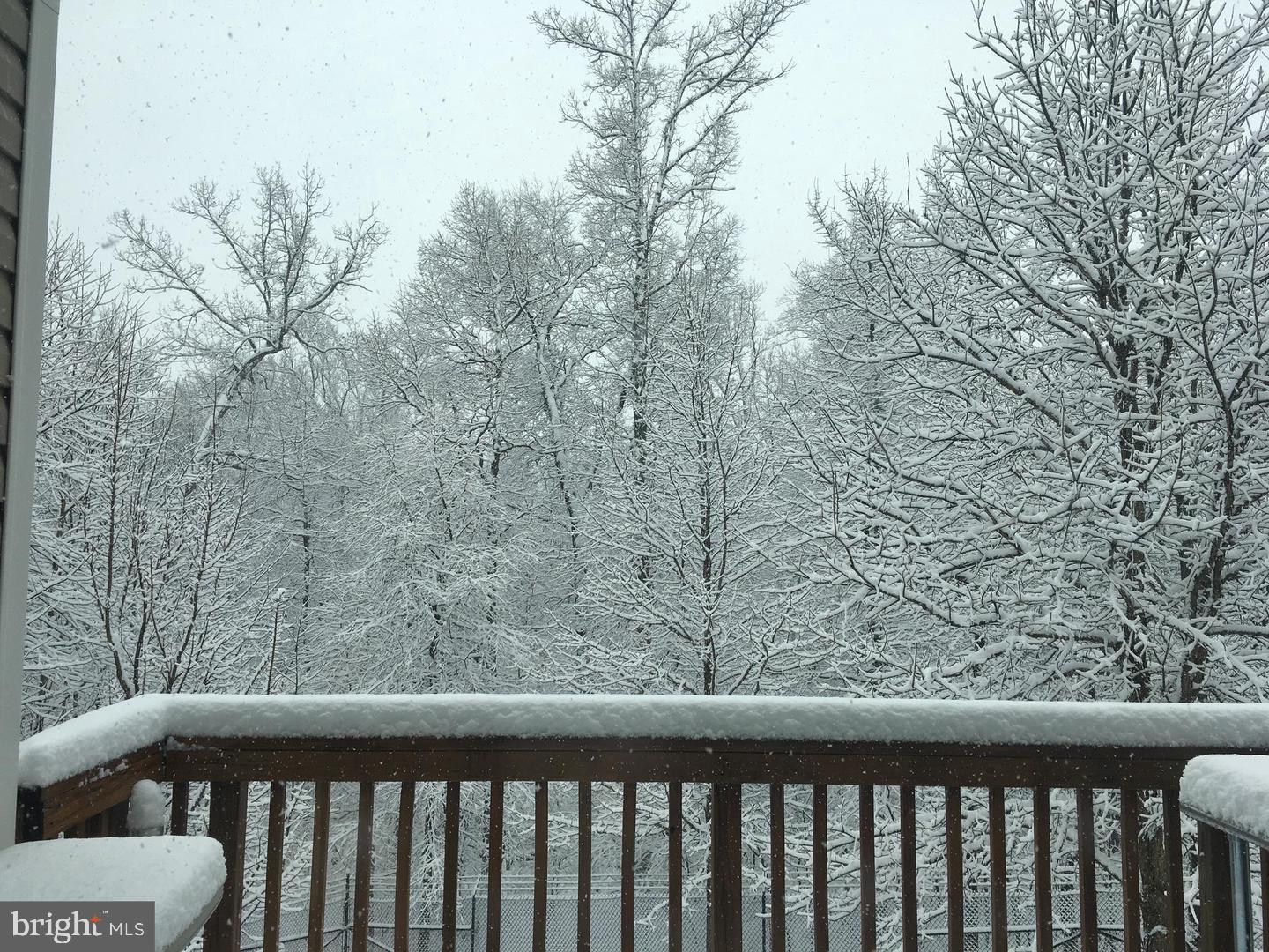 1631 TREETOP VIEW TERRACE