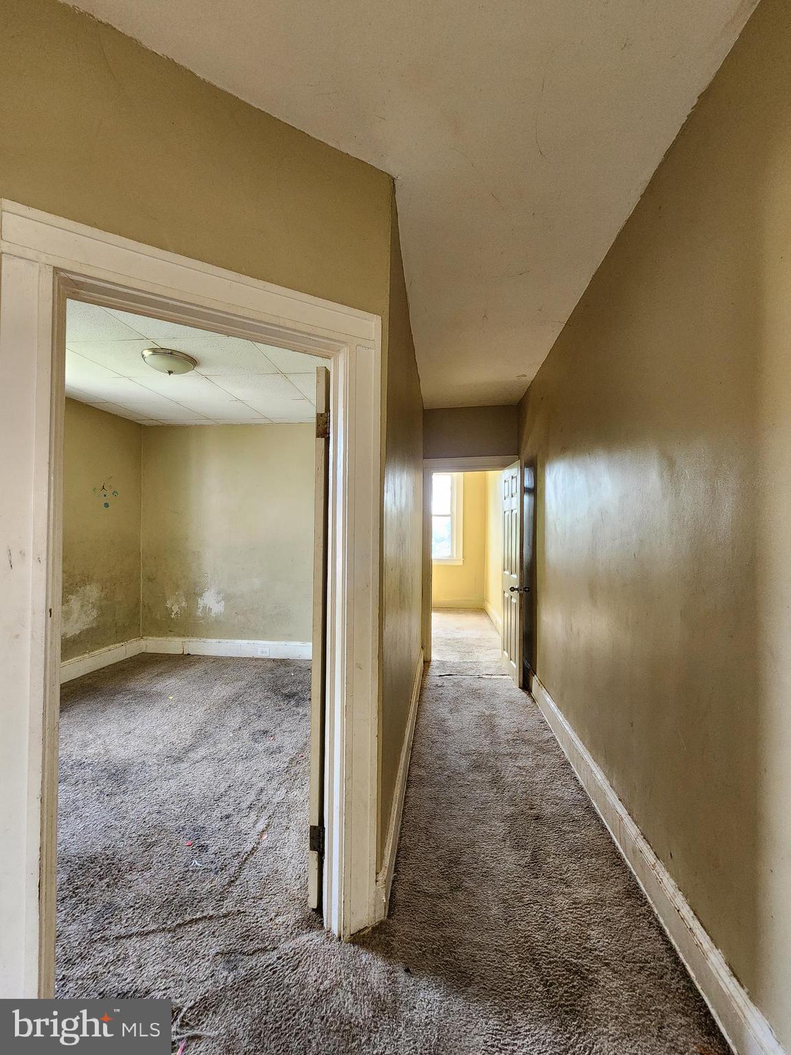 PEN LUCY - Residential