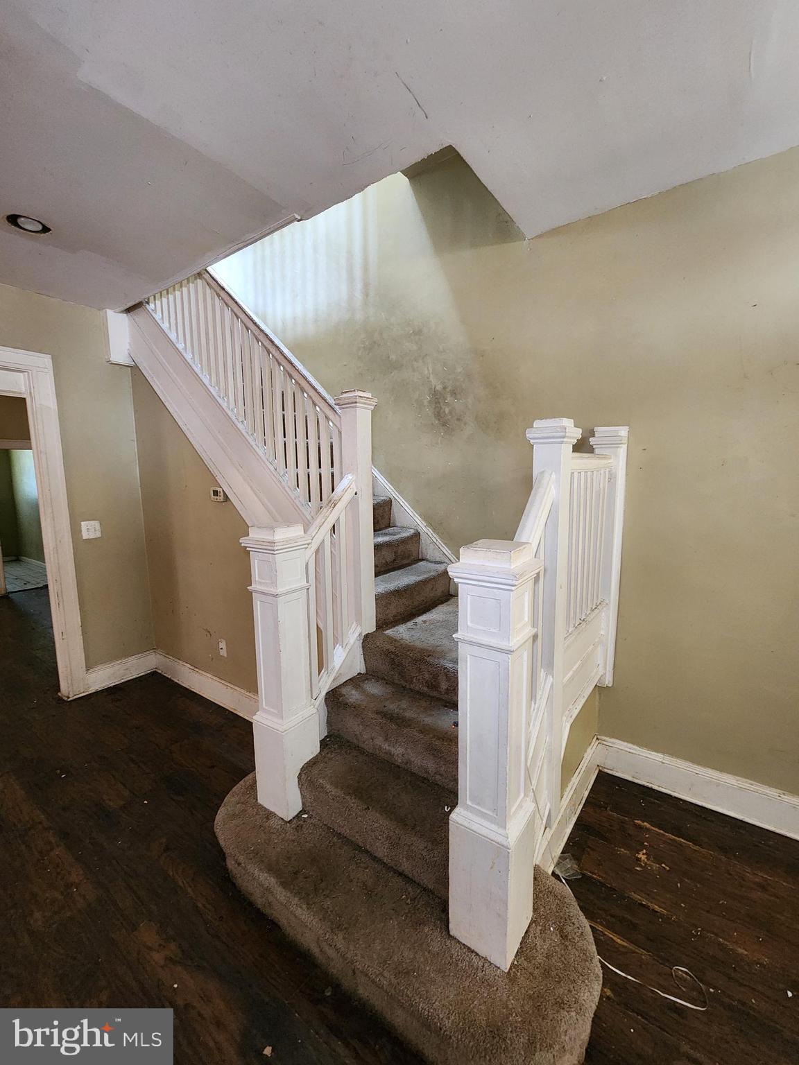 PEN LUCY - Residential