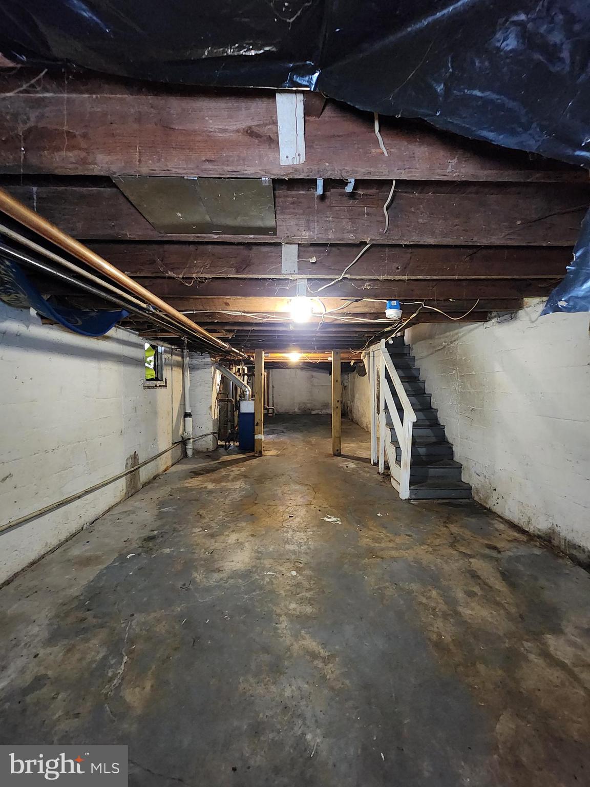 PEN LUCY - Residential