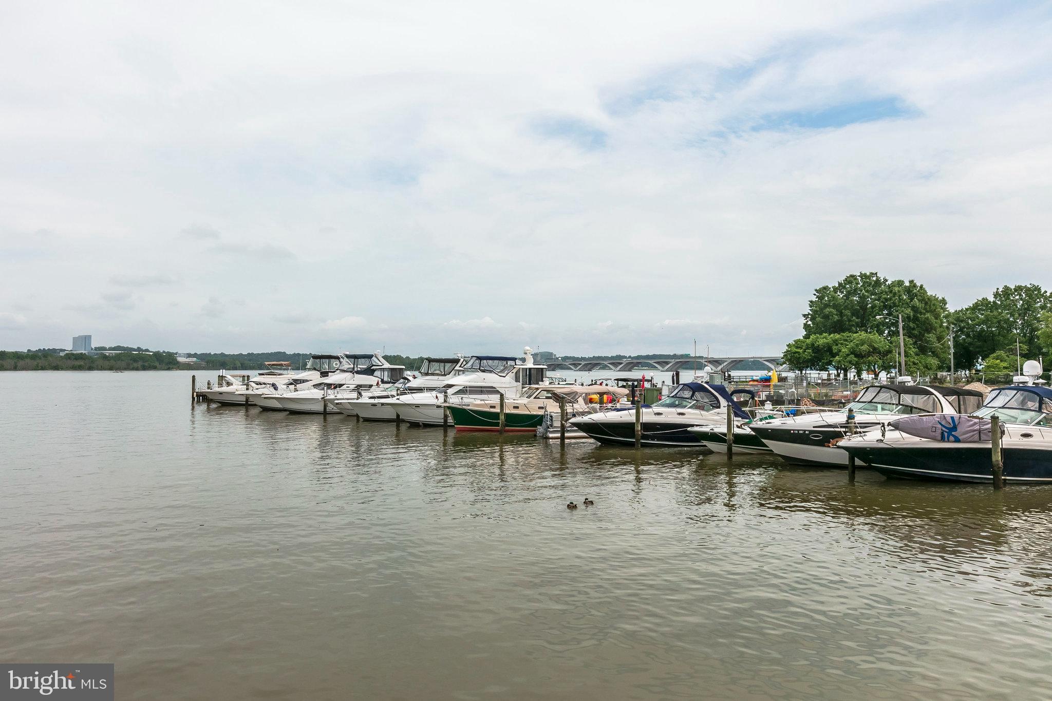 POTOMAC  YARDS - Residential