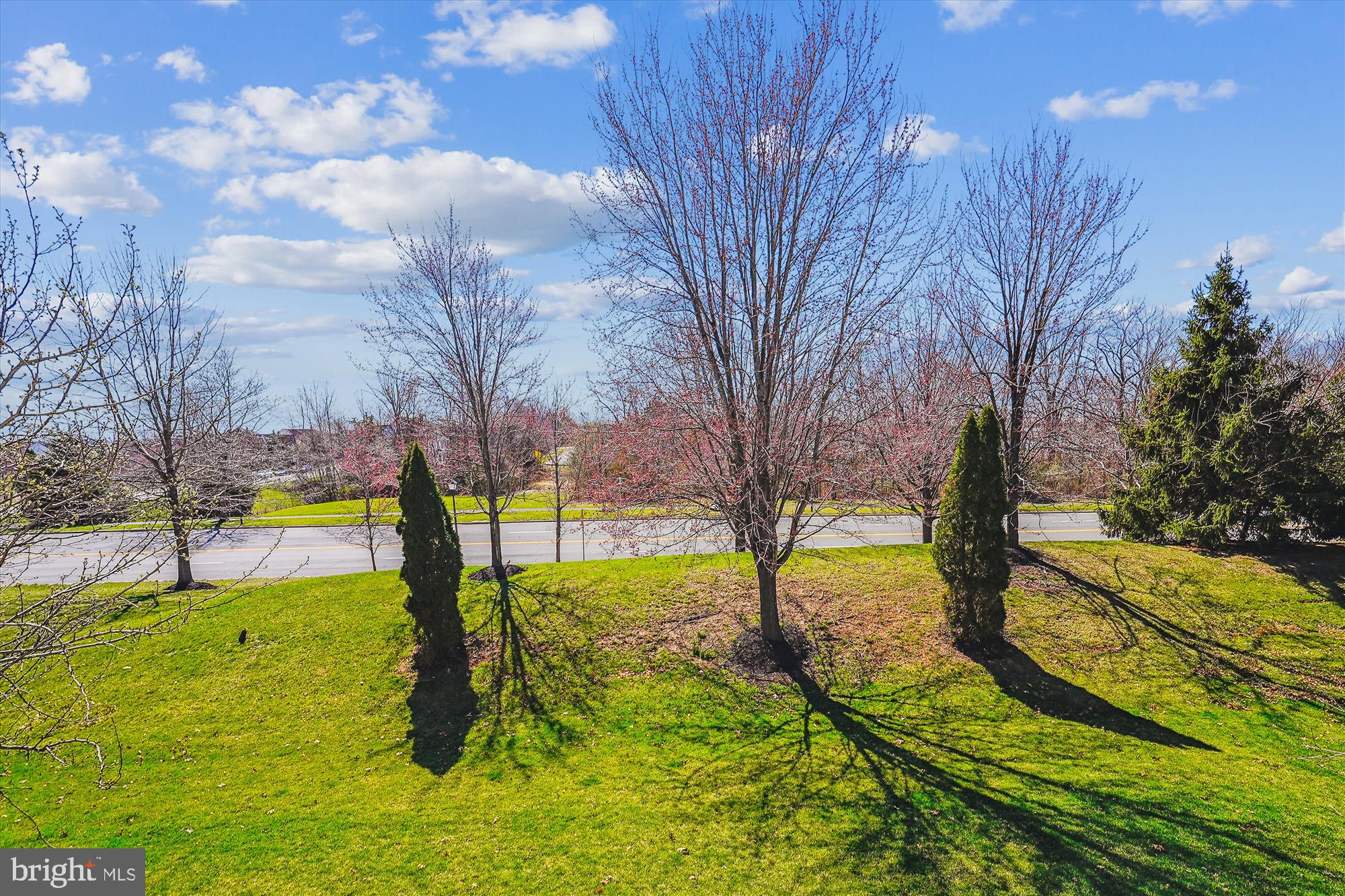 POTOMAC STATION - Residential Lease