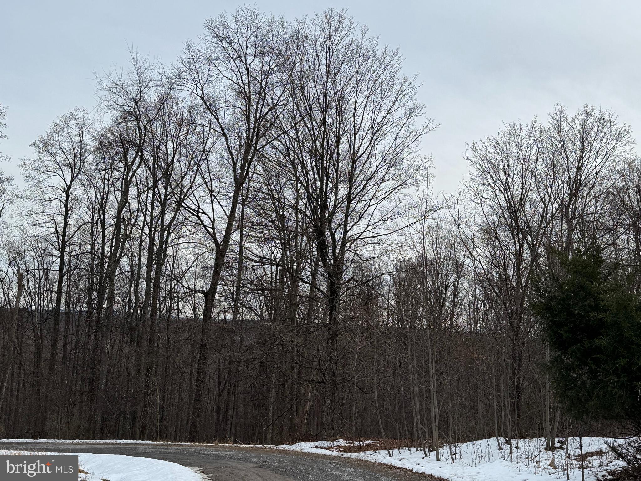 COOLFONT MOUNTAINSIDE - Land