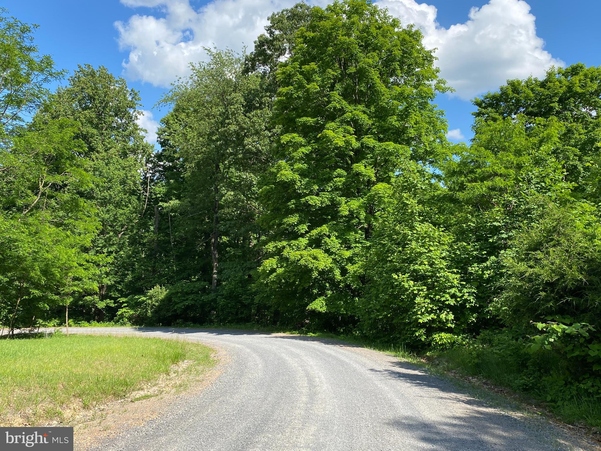 COOLFONT MOUNTAINSIDE - Land