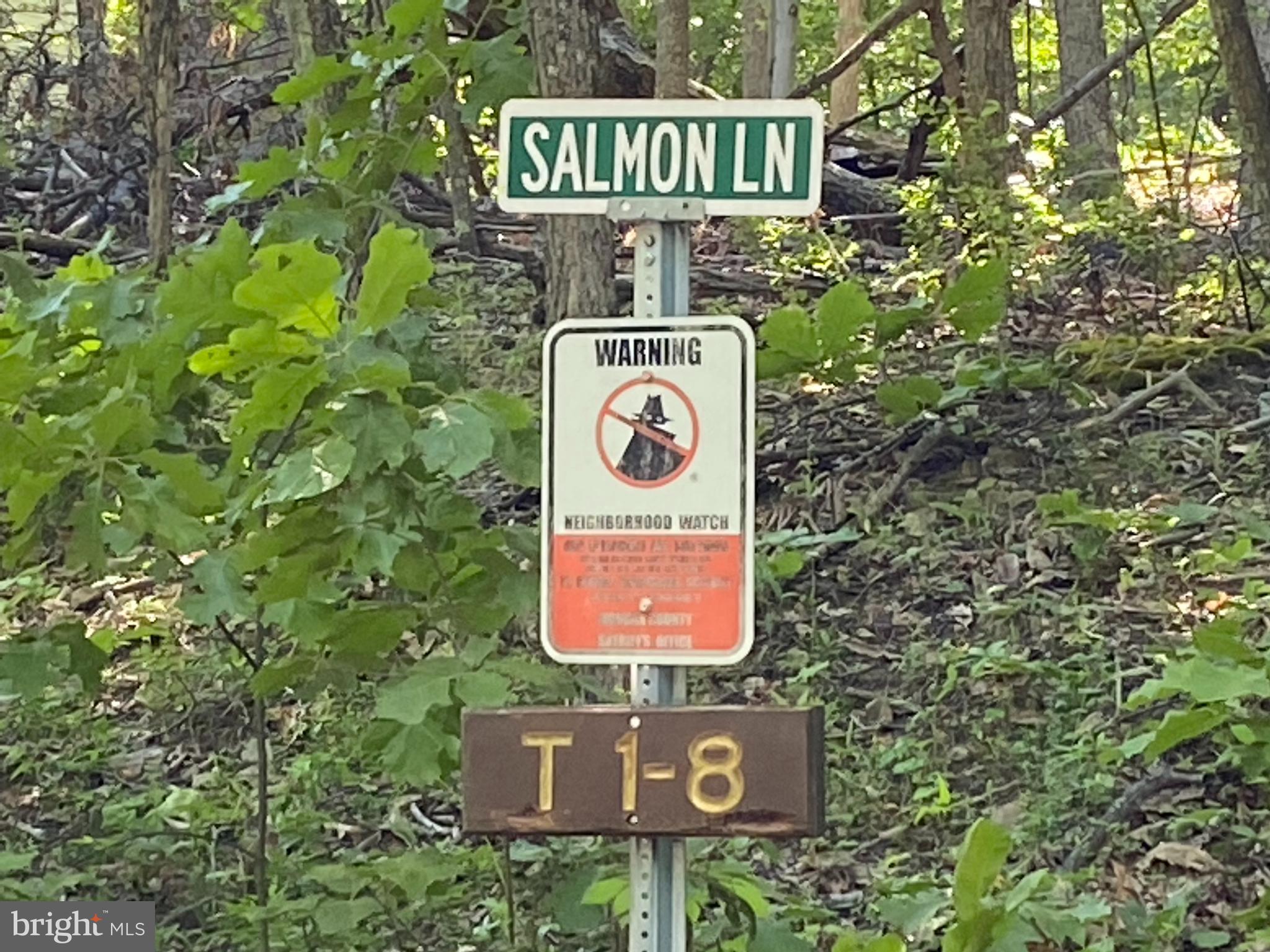 COOLFONT MOUNTAINSIDE - Land