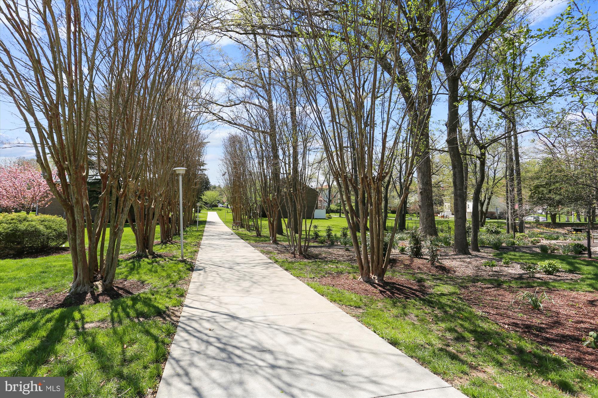 ROSSMOOR MUTUAL #13 - Residential