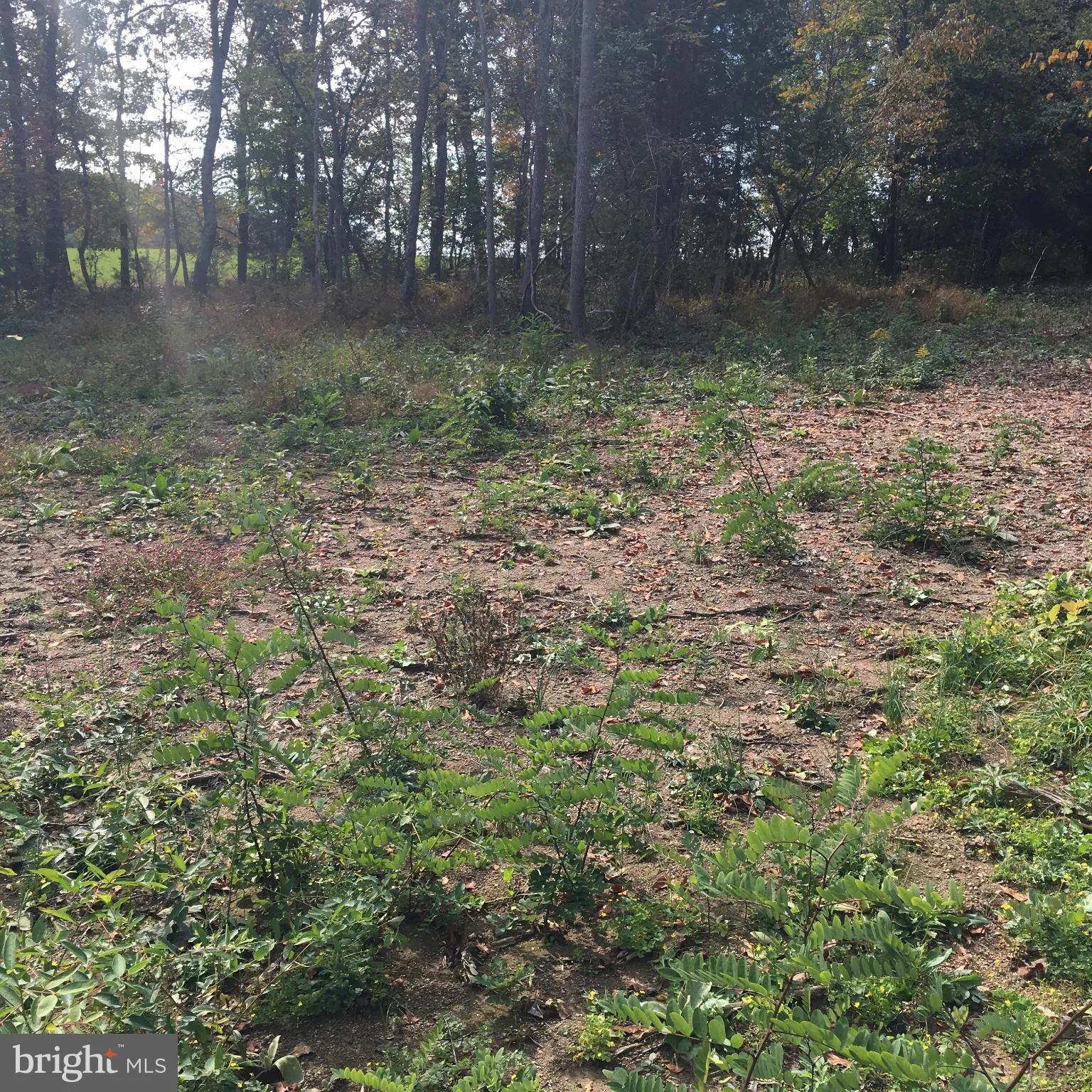 Additional image 2 of Fort Valley Road, Fort Valley, VA 22652