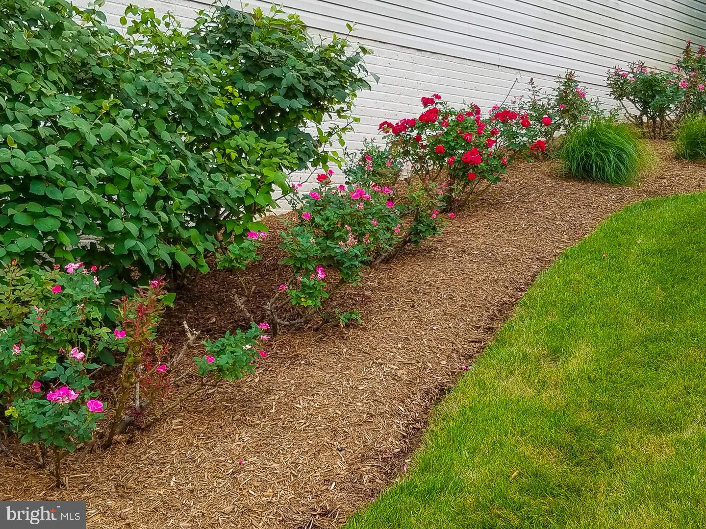 SOMERSET - Residential