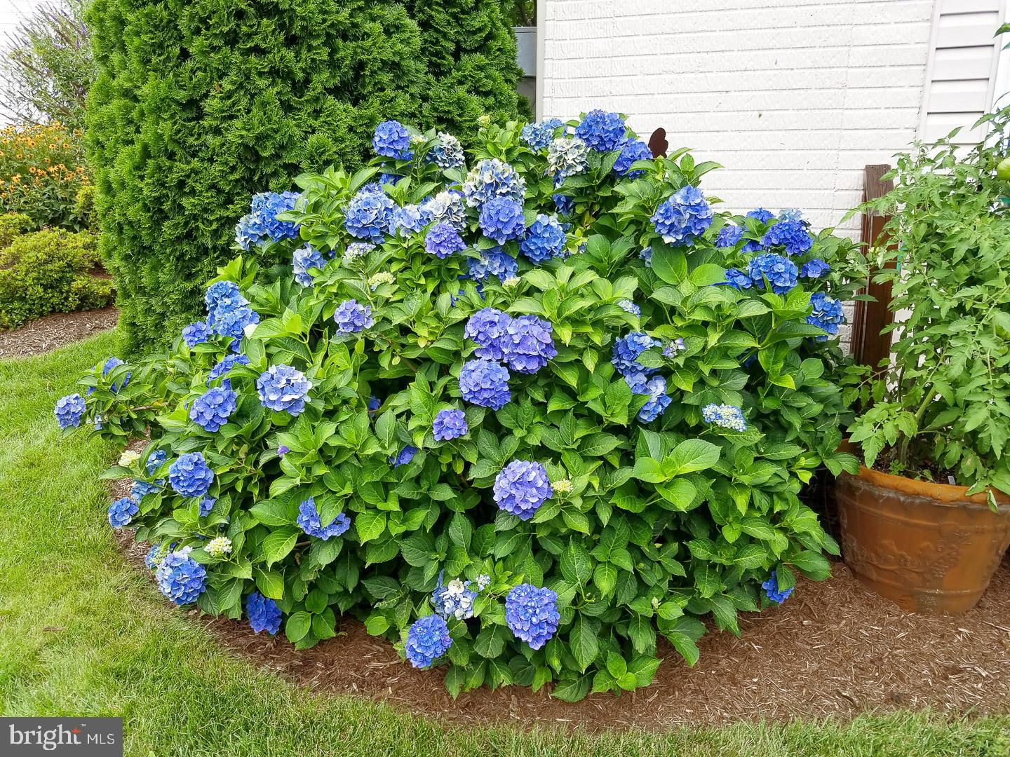 SOMERSET - Residential