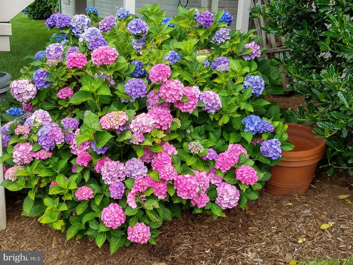 SOMERSET - Residential