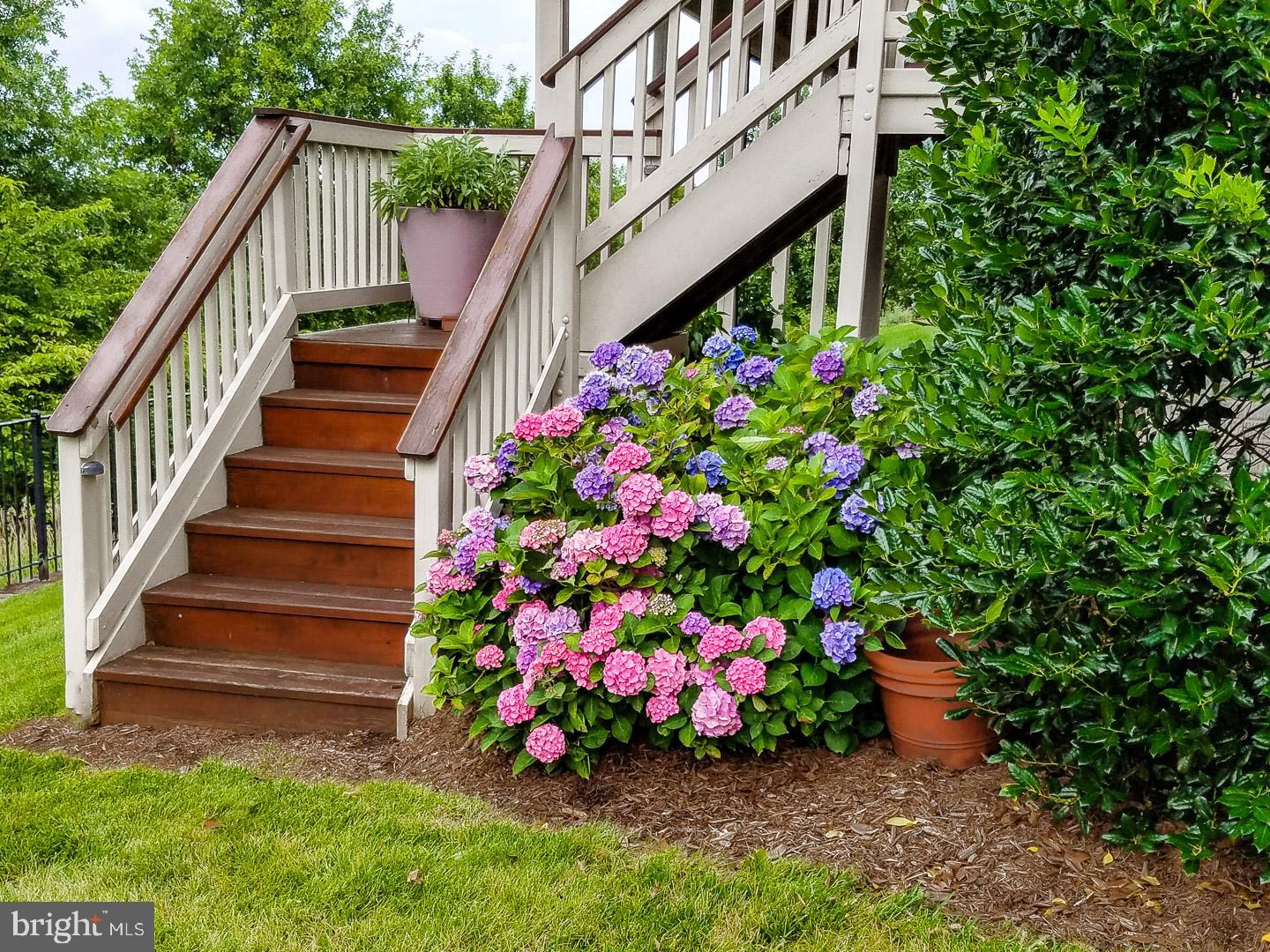 SOMERSET - Residential