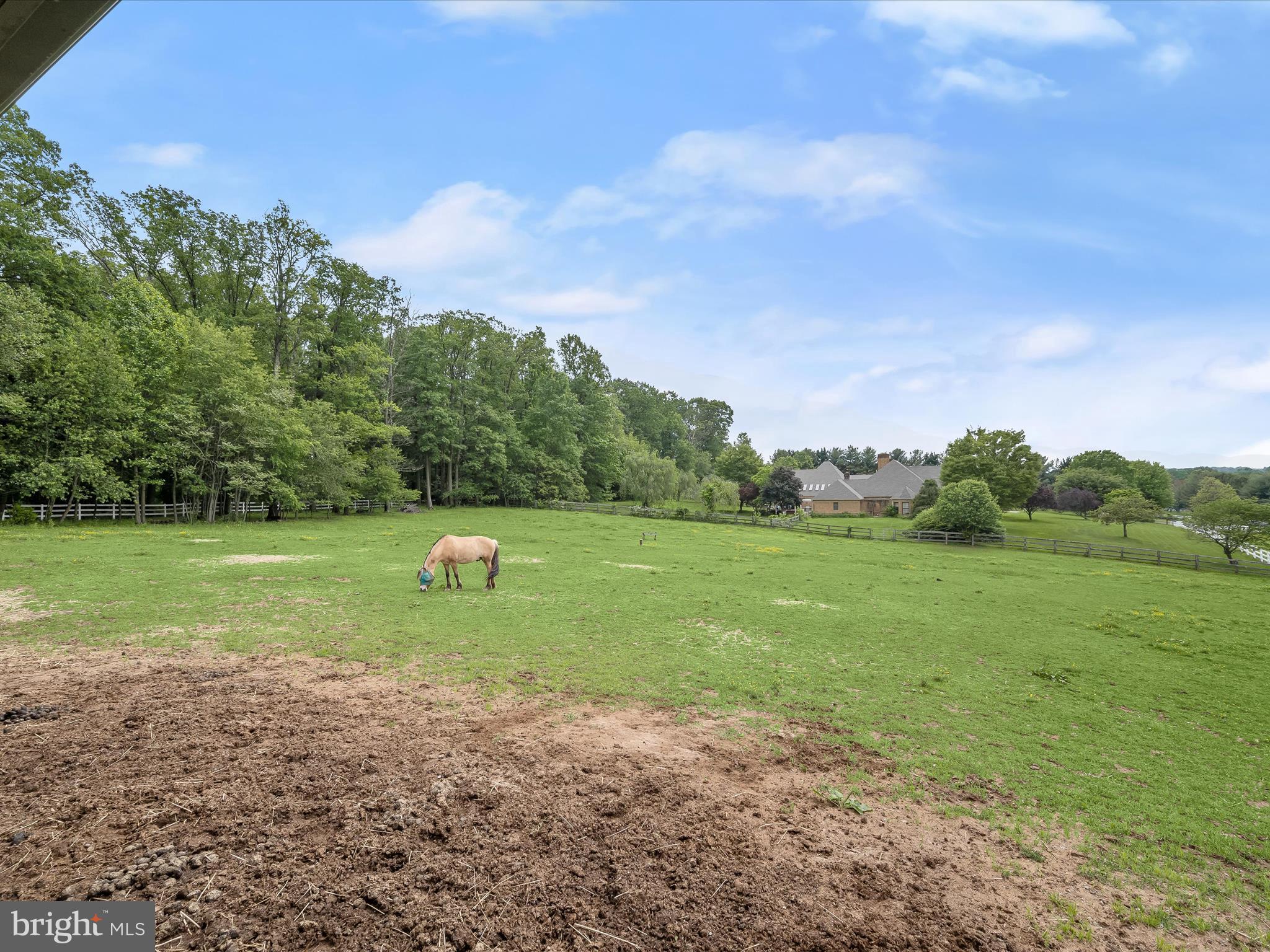 NONE AVAILABLE - Farm