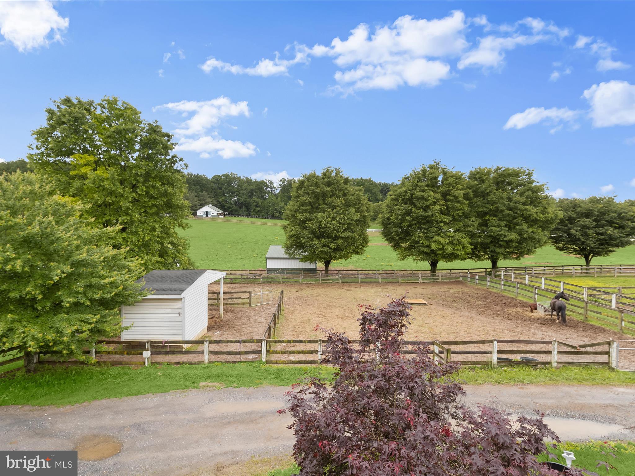 NONE AVAILABLE - Farm