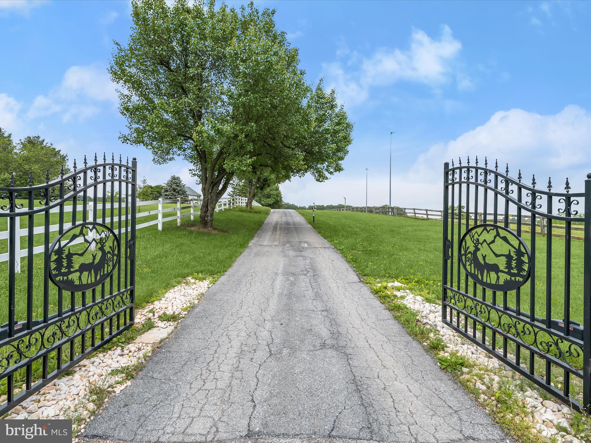 NONE AVAILABLE - Farm