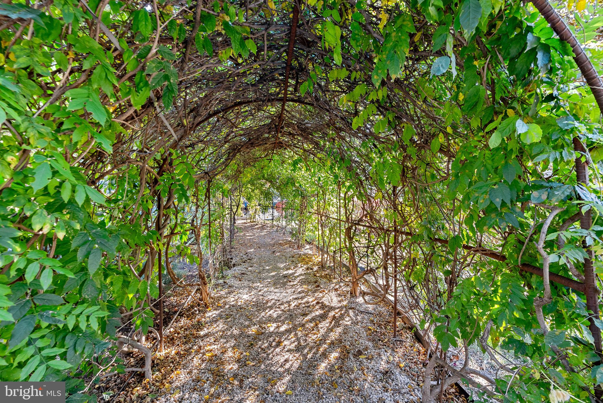 ROTONDA - Residential