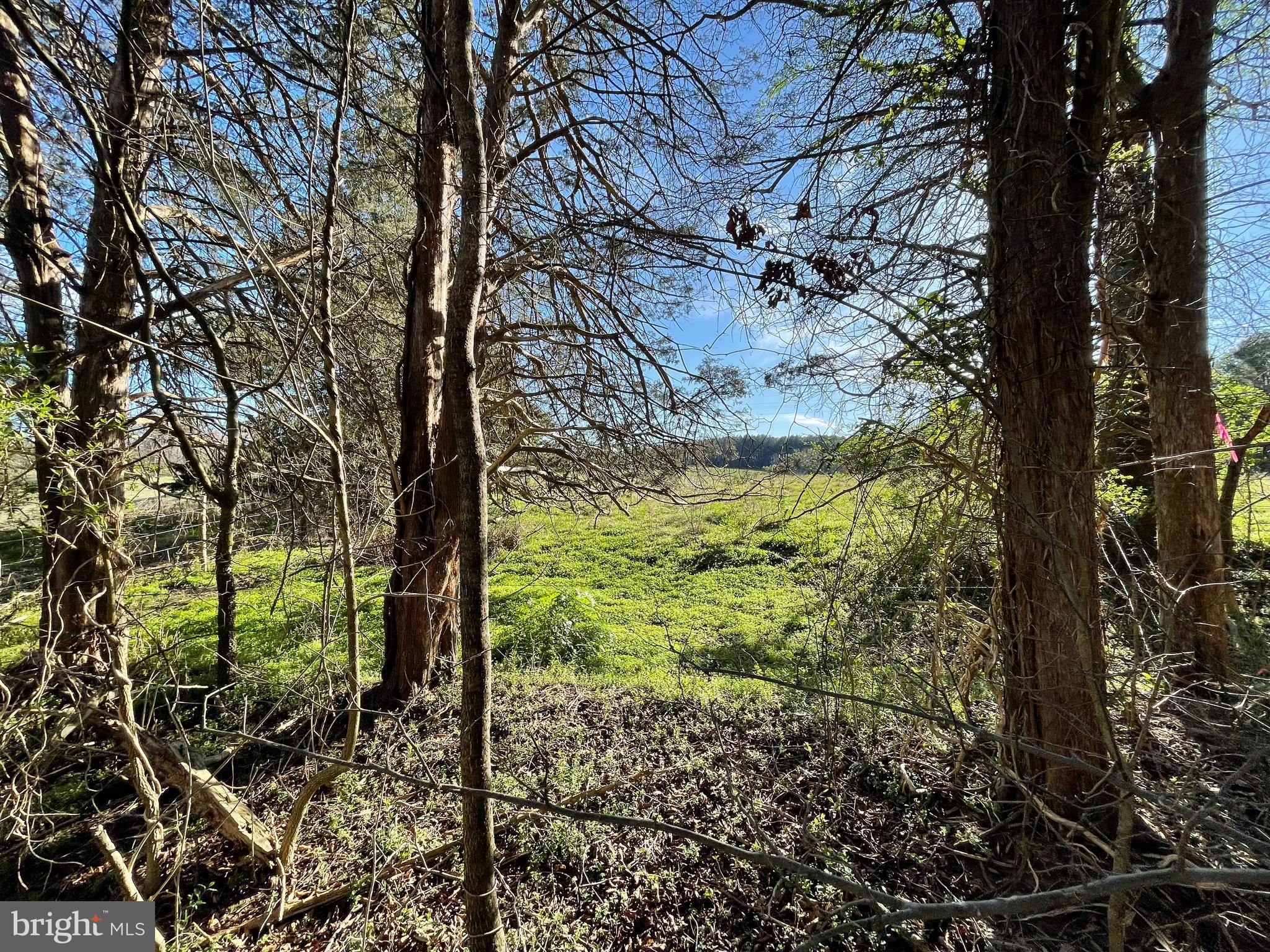 KELLYS LANDING - Land