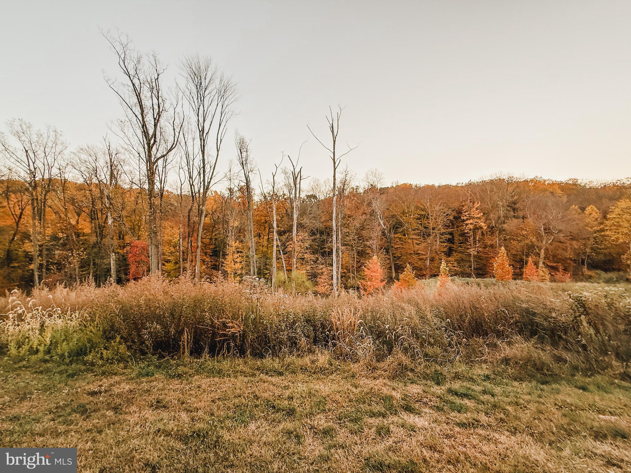 GARNET RESERVE - Residential