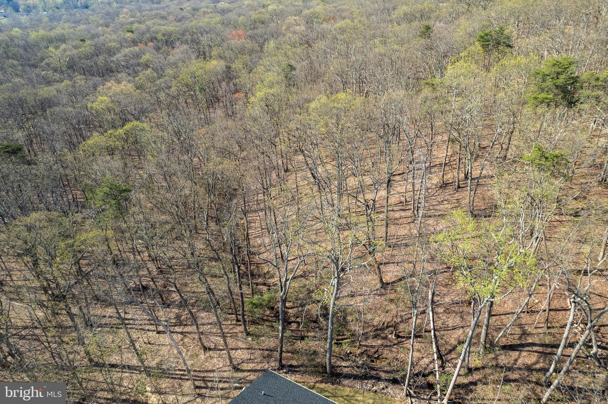 BULL RUN MOUNTAIN ESTATE - Residential