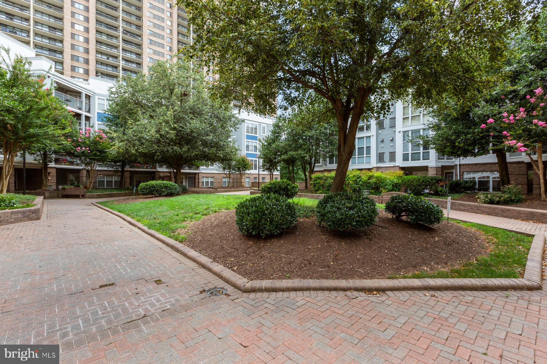 SAVOY PARK CONDOMINIUMS - Residential