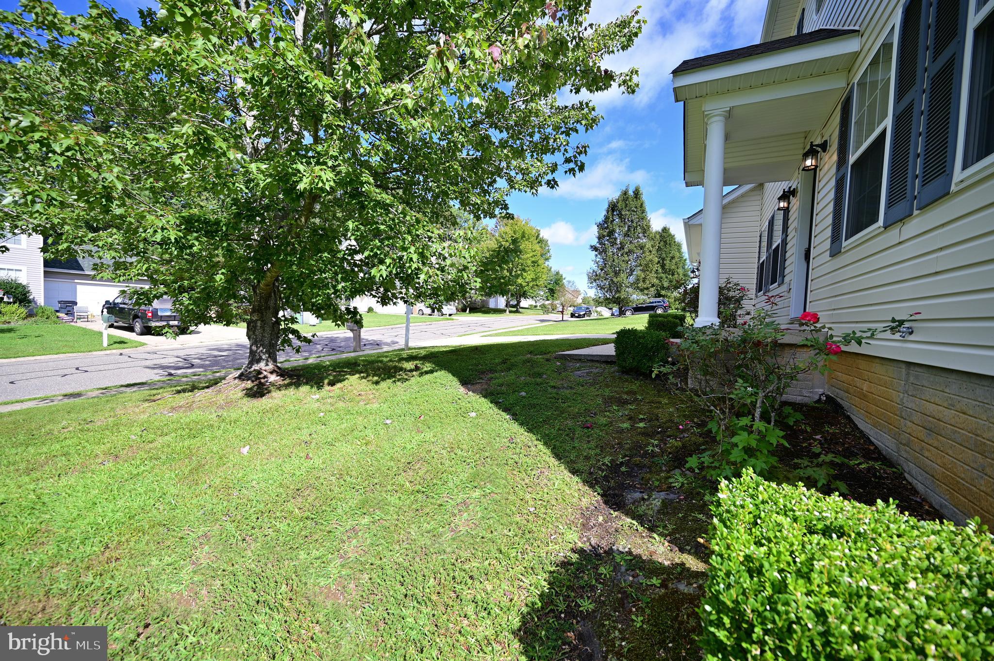 WILLOW WOODS - Residential