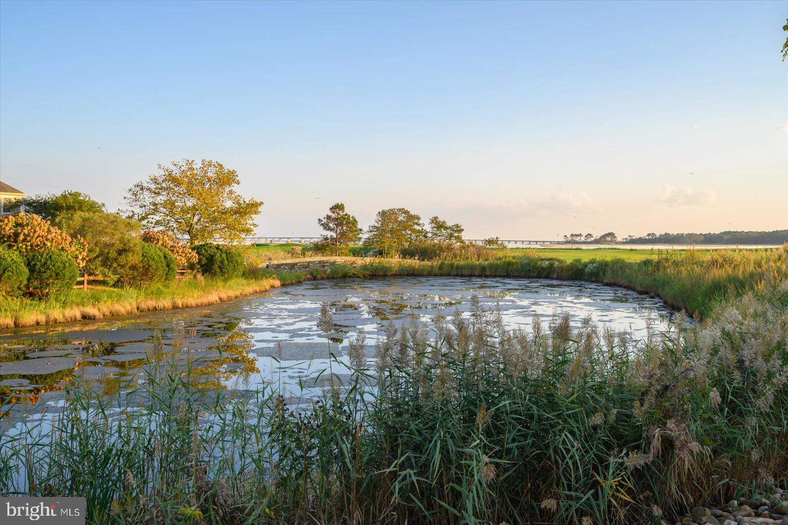 LIGHTHOUSE SOUND - Residential