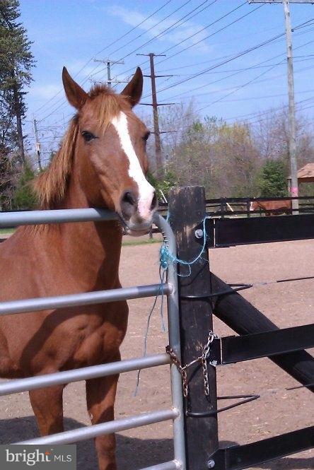 AQUIA HARBOUR - Residential Lease