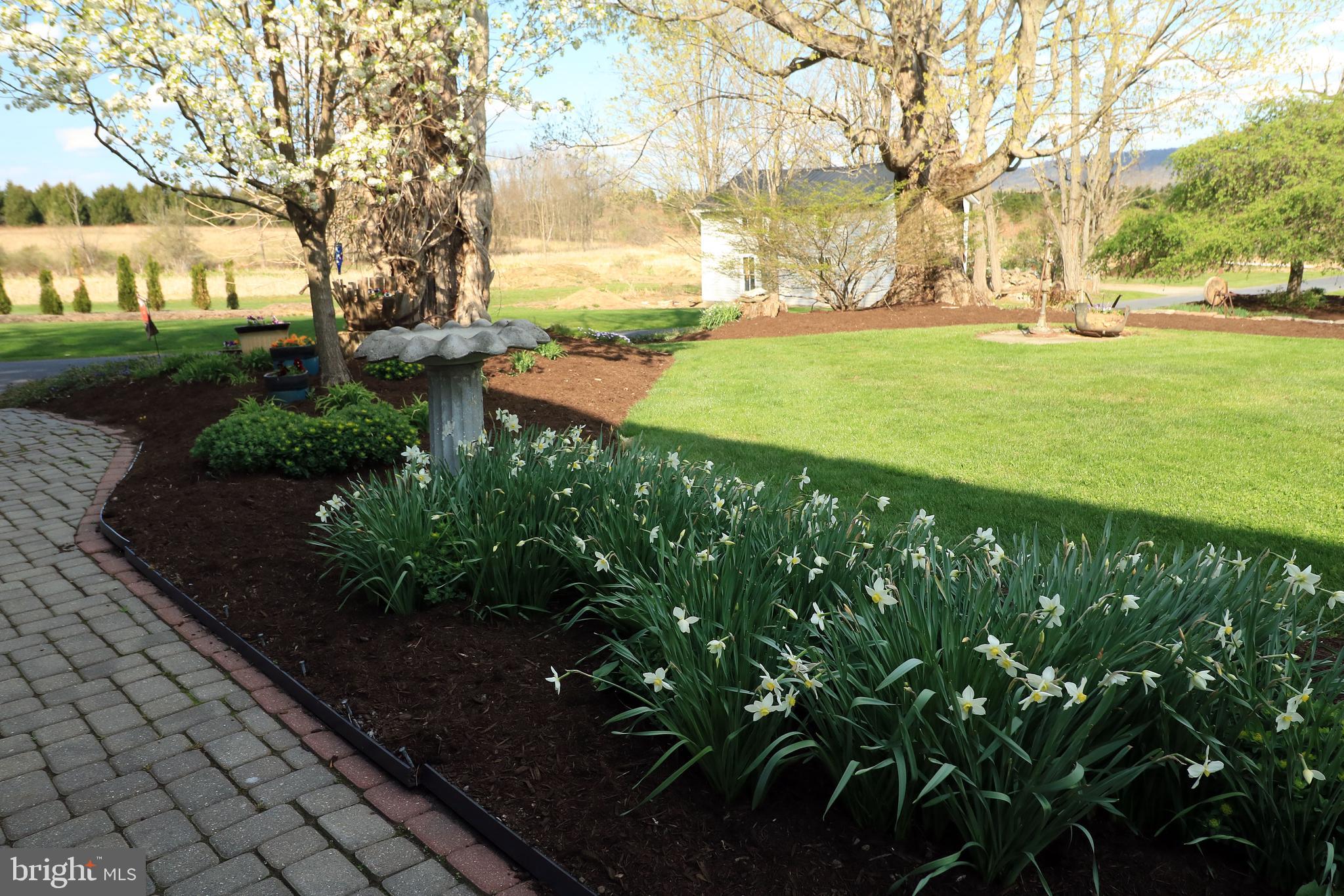 NONE AVAILABLE - Farm