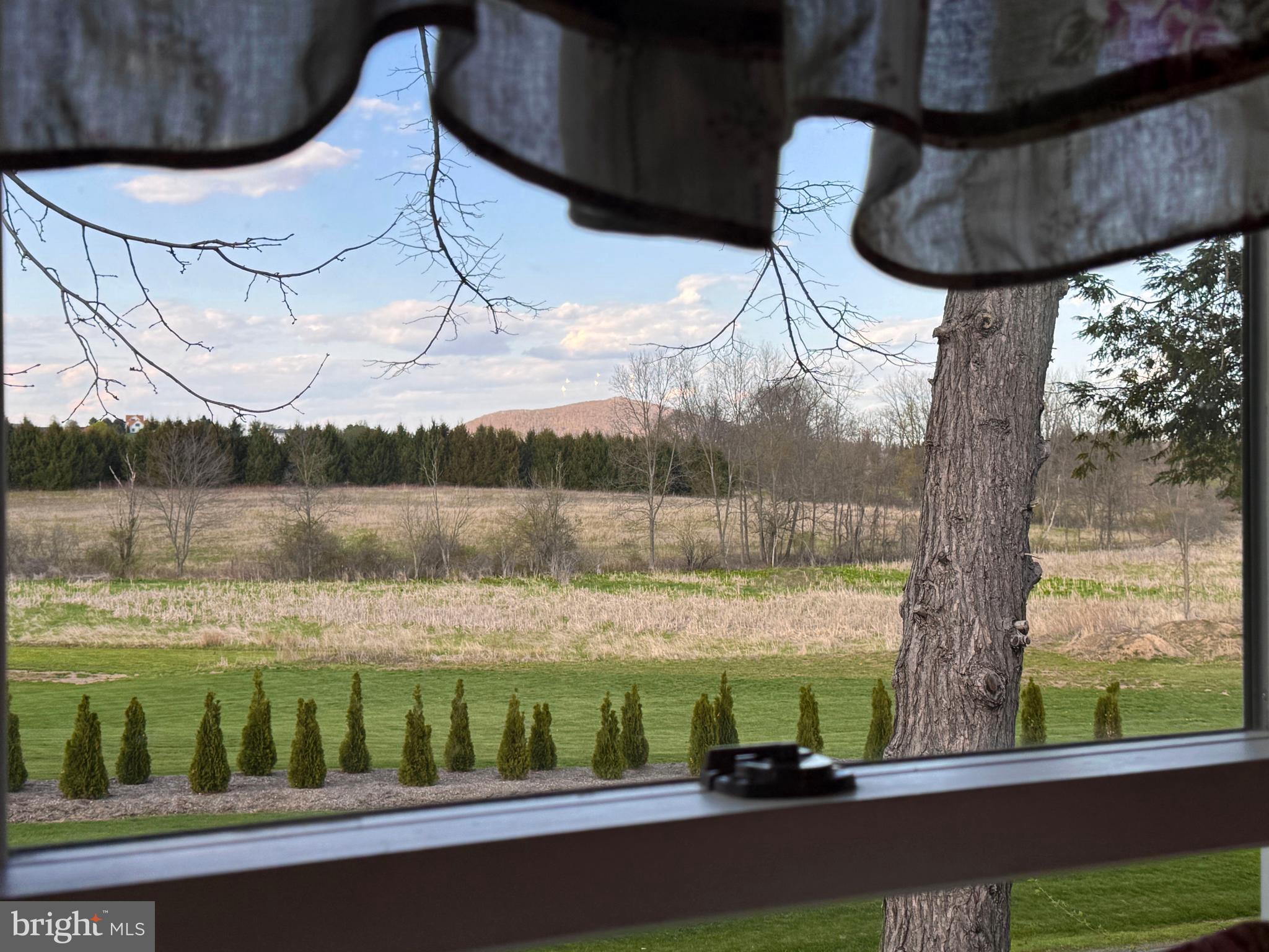 NONE AVAILABLE - Farm