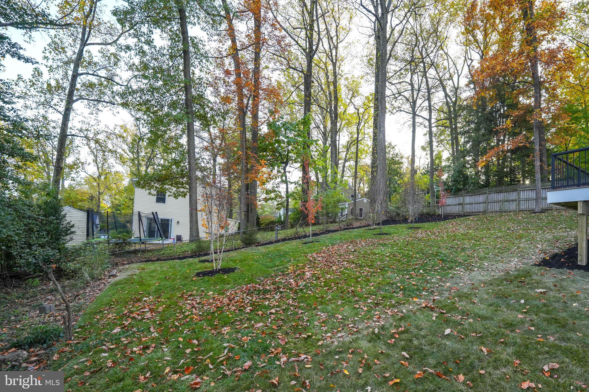 VIRGINIA FOREST - Residential