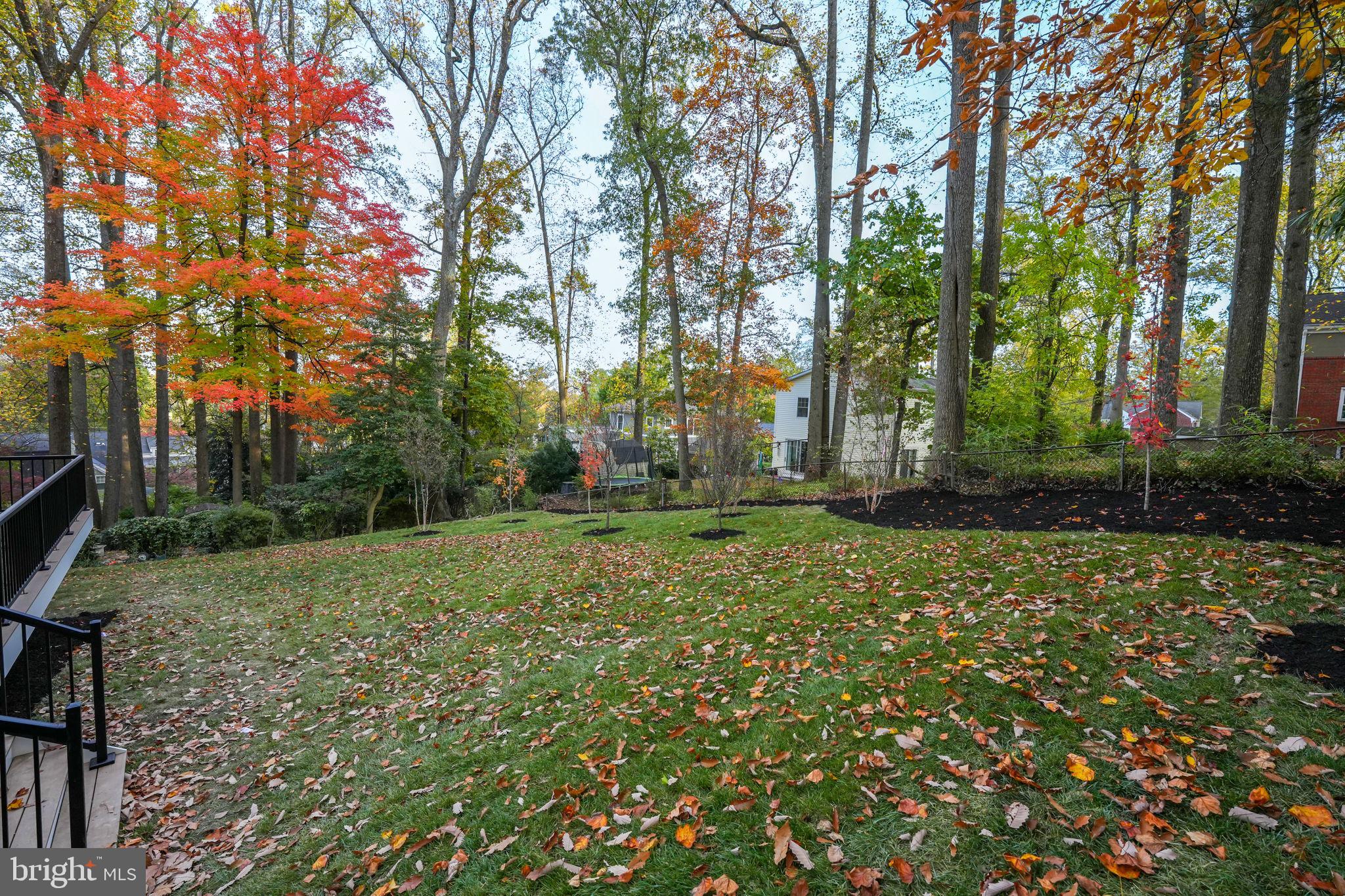 VIRGINIA FOREST - Residential