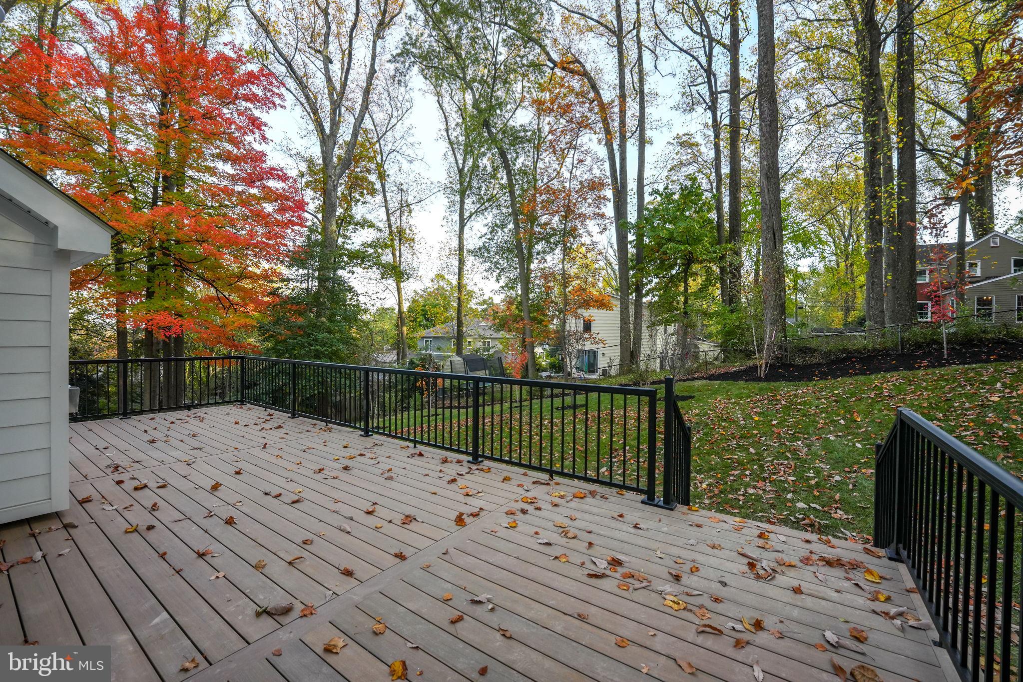 VIRGINIA FOREST - Residential