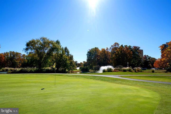 GREENS AT LEISURE WORLD - Residential